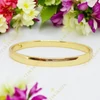 Simple 14K Gold Filled antiallergén karperec 6cm