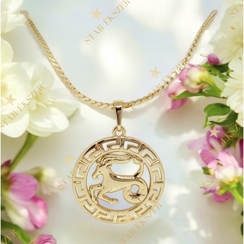 N. Horoszkópos 14K Gold Filled antiallergén nyaklánc 45cm Bak