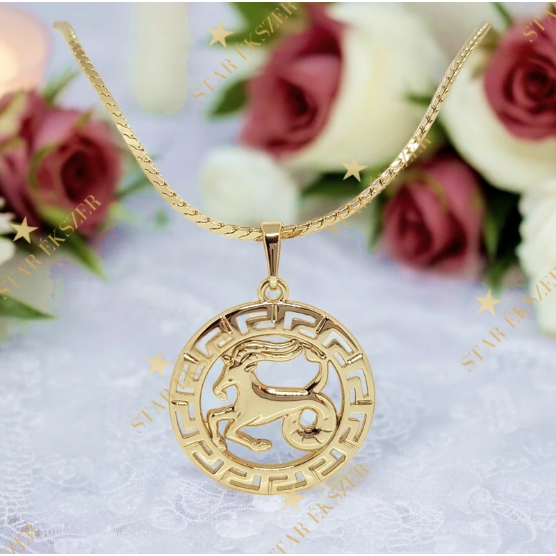 N. Horoszkópos 14K Gold Filled antiallergén nyaklánc 45cm Bak